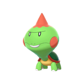 Buy Shiny 6IV Chewtle